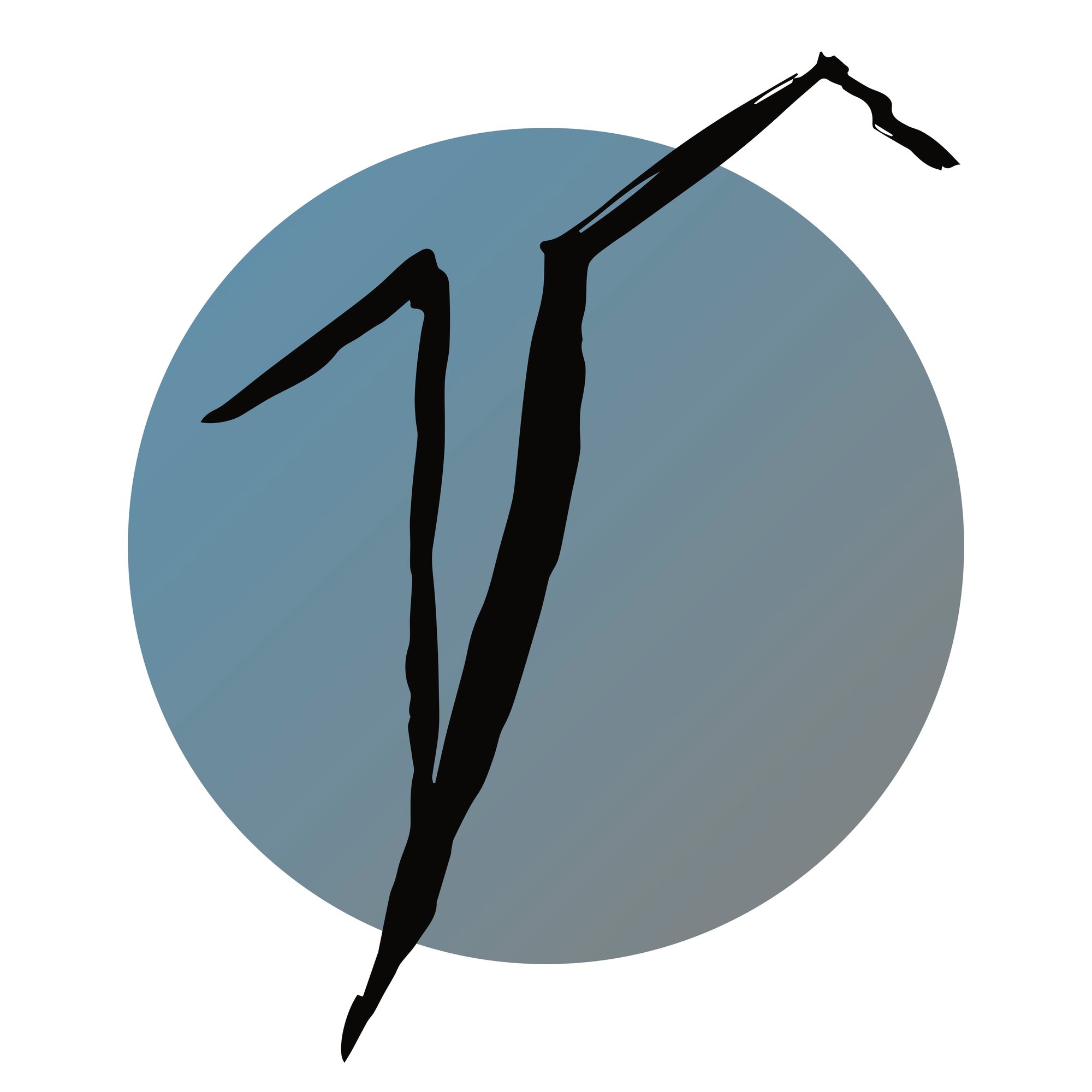 01A disegno VajontS