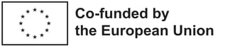 EN Co-funded by the EU_BLACK Outline