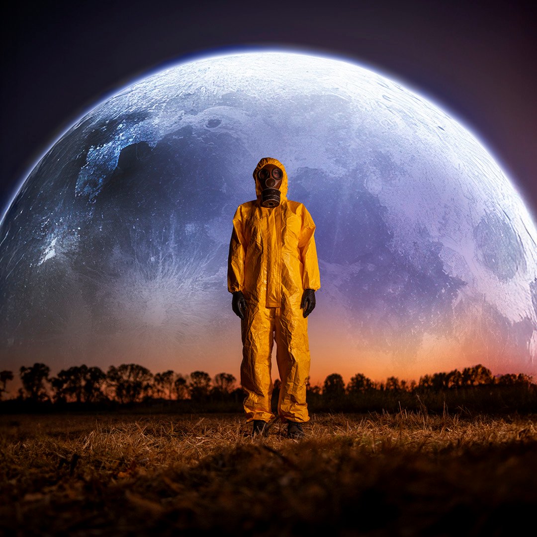 ImmSitoAnteprima_Il gabbiano_D_2025