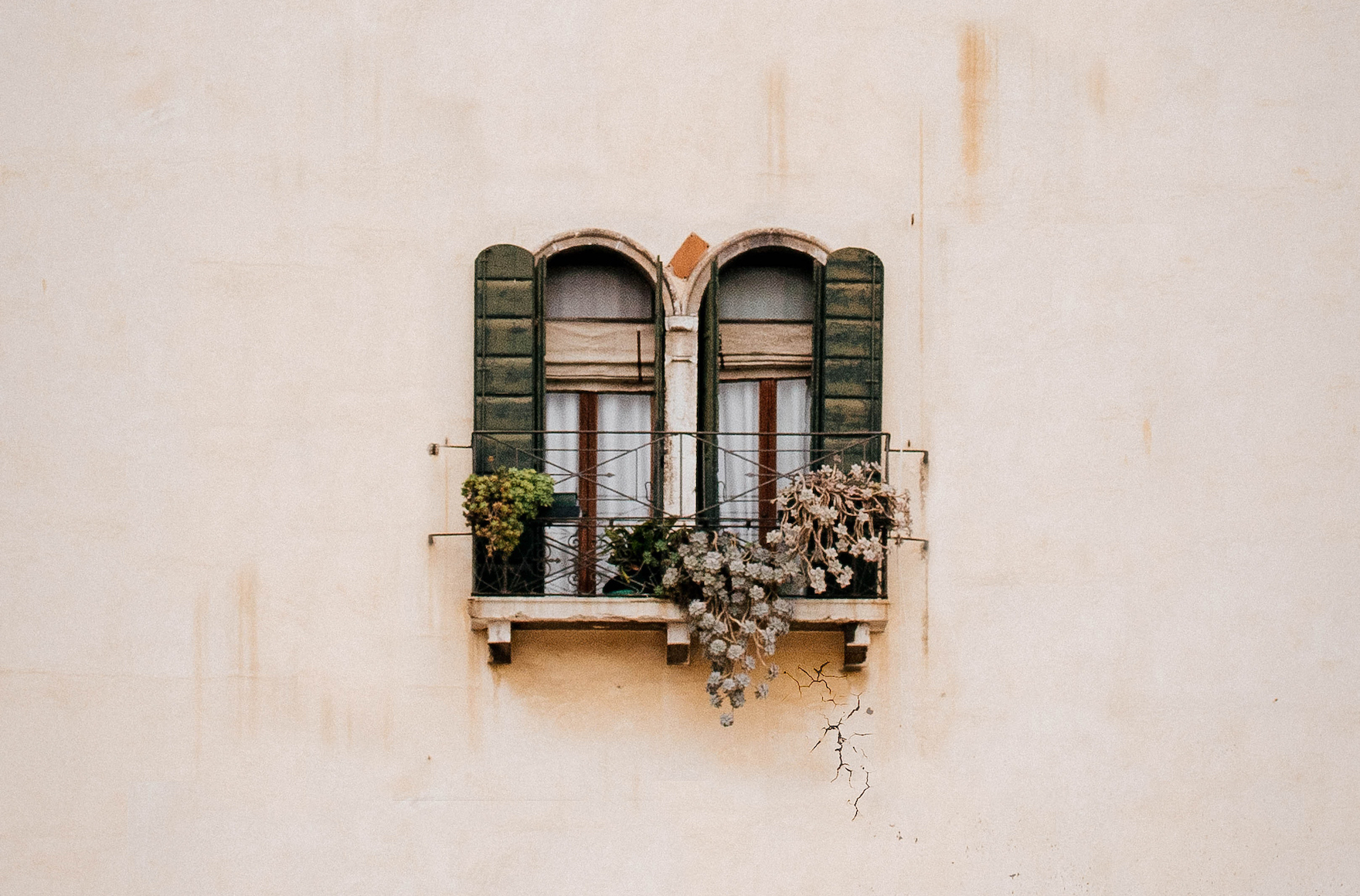 Venire, a Venezia