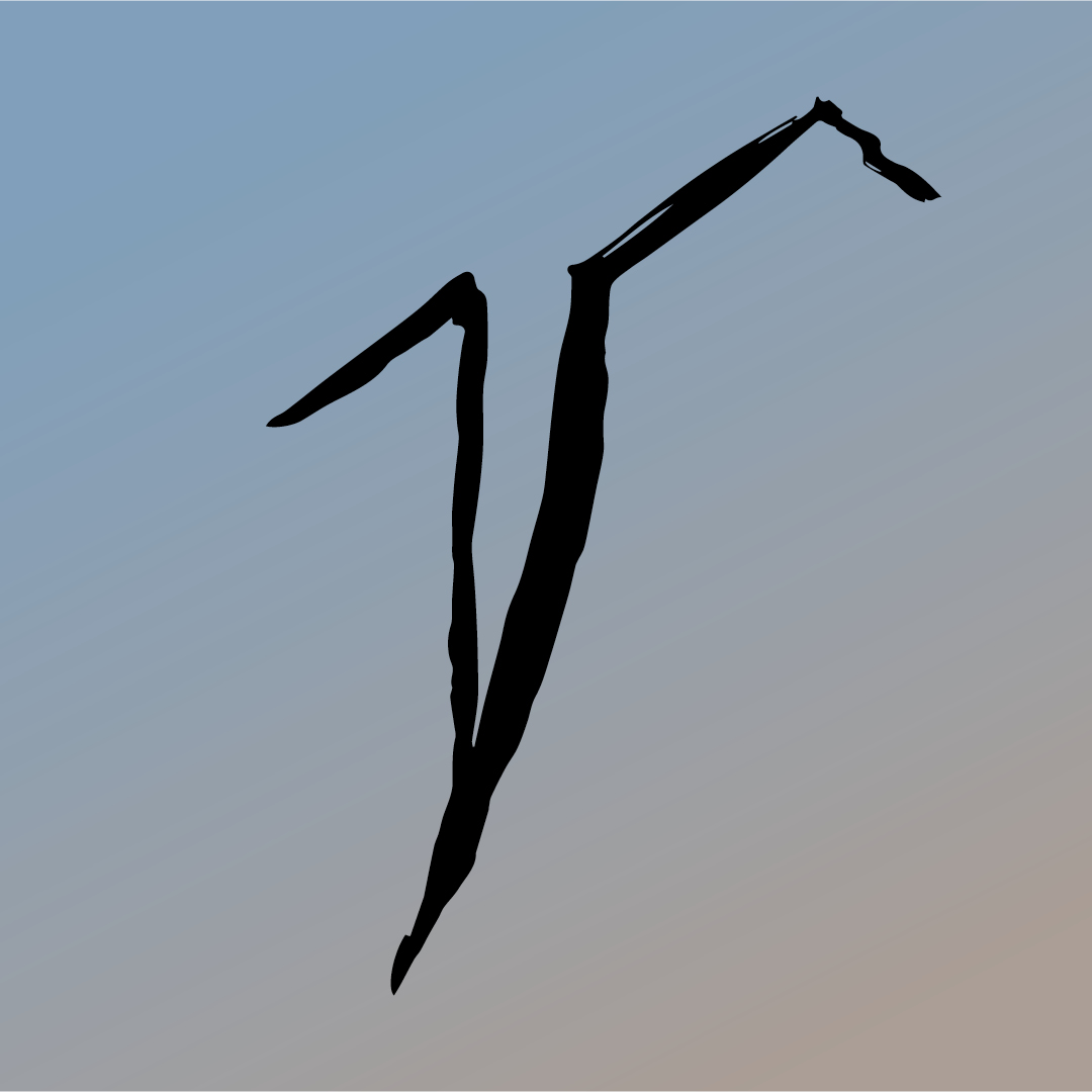 Vajonts 23